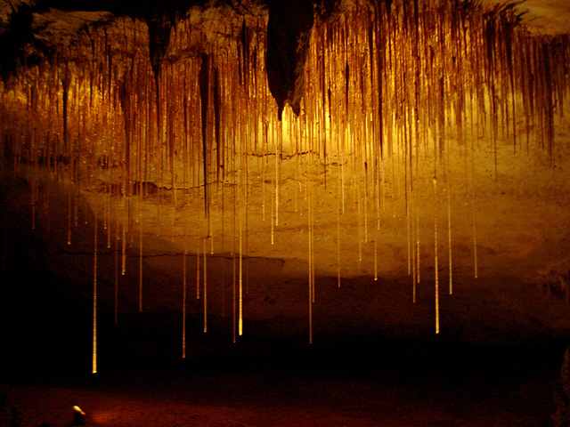 Alexandra Cave, Naracoorte_3