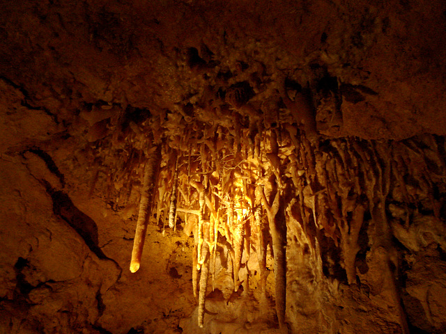Victoria Fossil Cave, Naracoorte_1