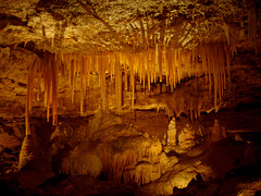 Victoria Fossil Cave, Naracoorte_3