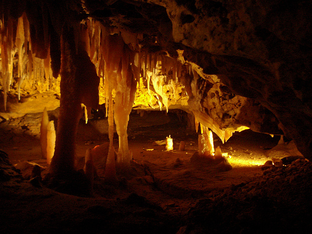 Victoria Fossil Cave, Naracoorte_2