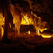 Victoria Fossil Cave, Naracoorte_2