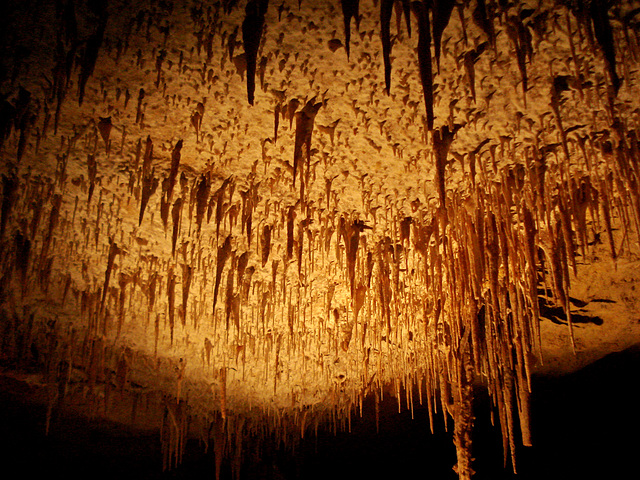 Victoria Fossil Cave, Naracoorte_4