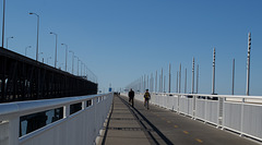 SF Bay Bridge (1073)