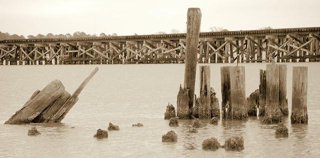 Pilings and bridge, Neuse River