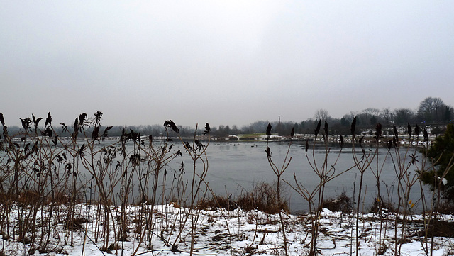 Lake Artemesia