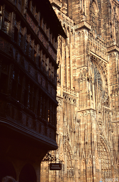 La Cathédrale de Strasbourg et la Maison Kammerzell