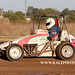 IMG_4035 copy