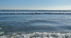 Fonzie & Coco go surfing