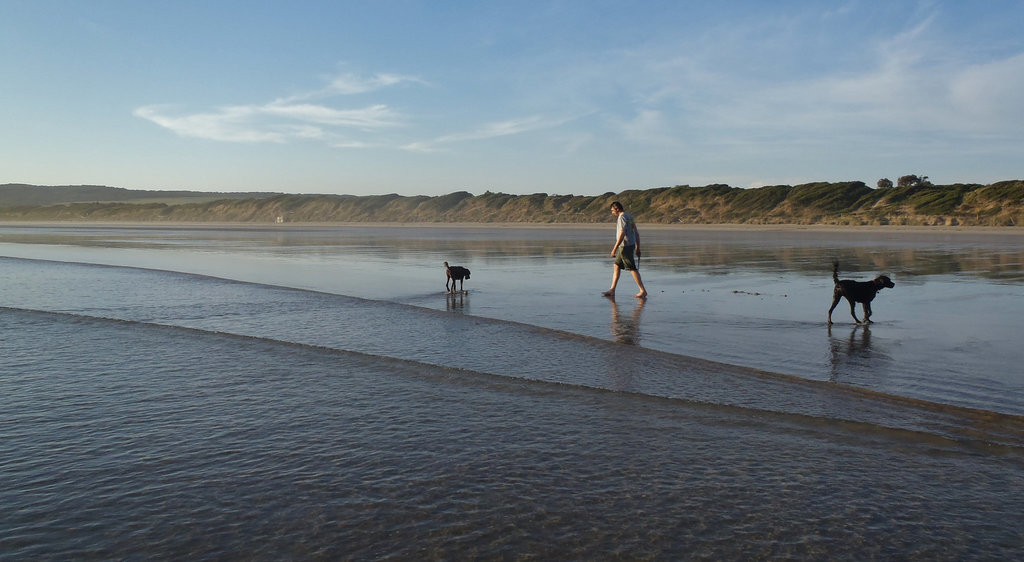 Ad and the dogs