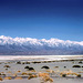 Dry Owens Lake and High Sierra, March 1980 (315°)