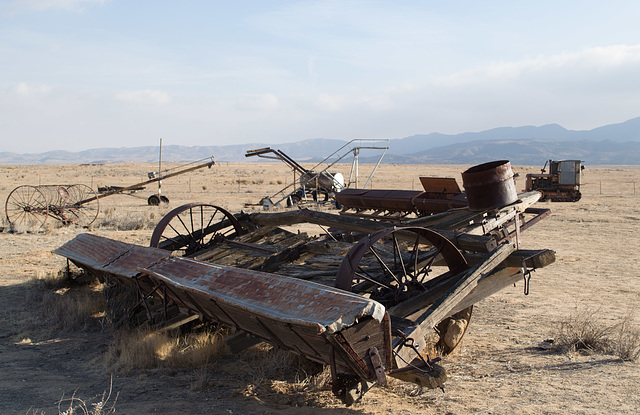 Carrizo Plain Natl Mon (0912)