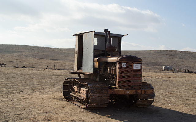 Carrizo Plain Natl Mon (0910)