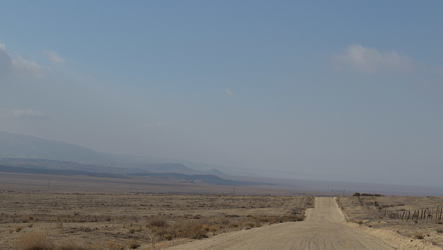 Carrizo Plain Natl Mon (0903)