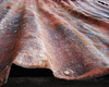 corrugated iron landscape