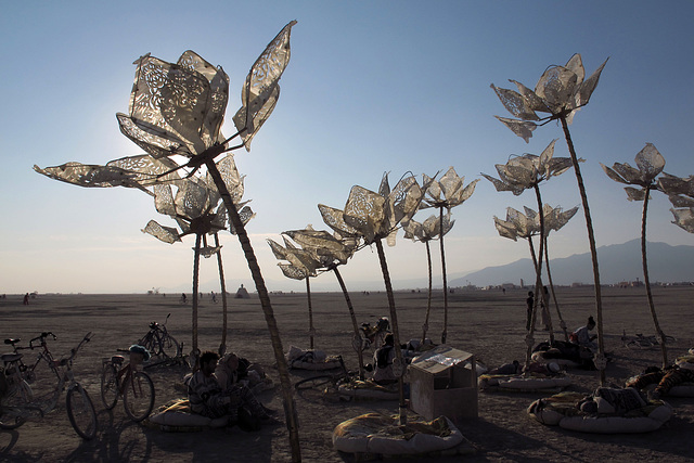 Flowers between the Man and the Temple (0679)