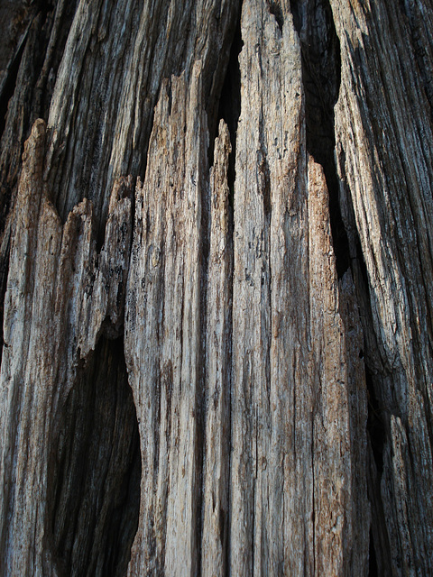 wooden posts_1