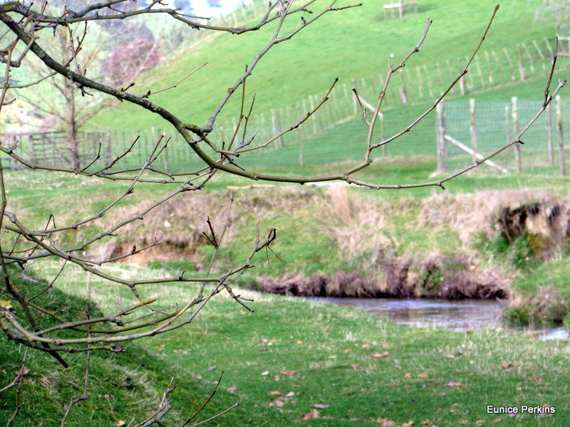 Stream Through Farm