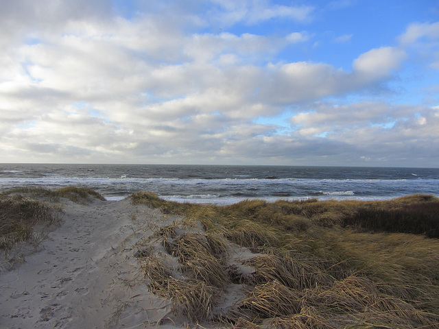 typisch Nordsee