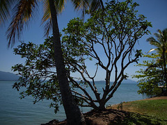 PA080151