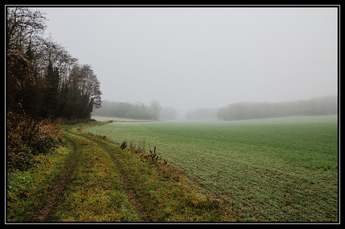 Chemin dans la brume