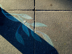 pavement art climbing shadow