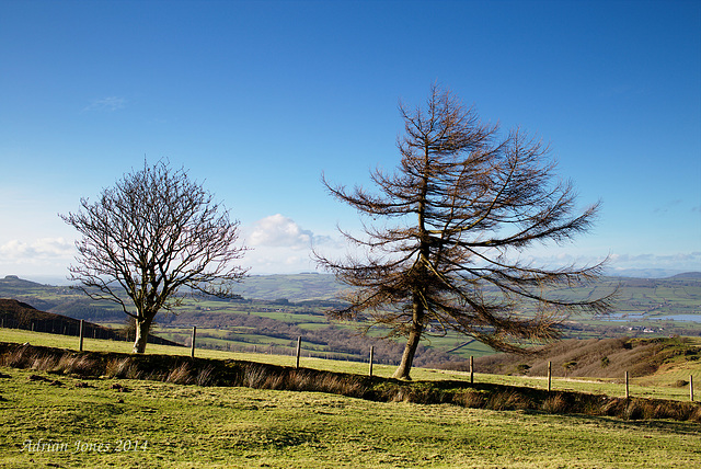 Blakemoregate View.