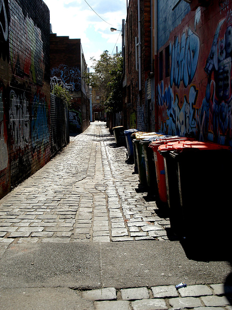 Fitzroy lane