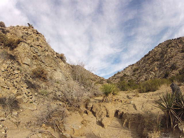 Long Canyon (01219)