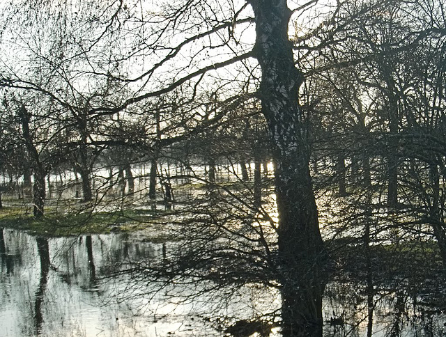 Lahn-Hochwasser