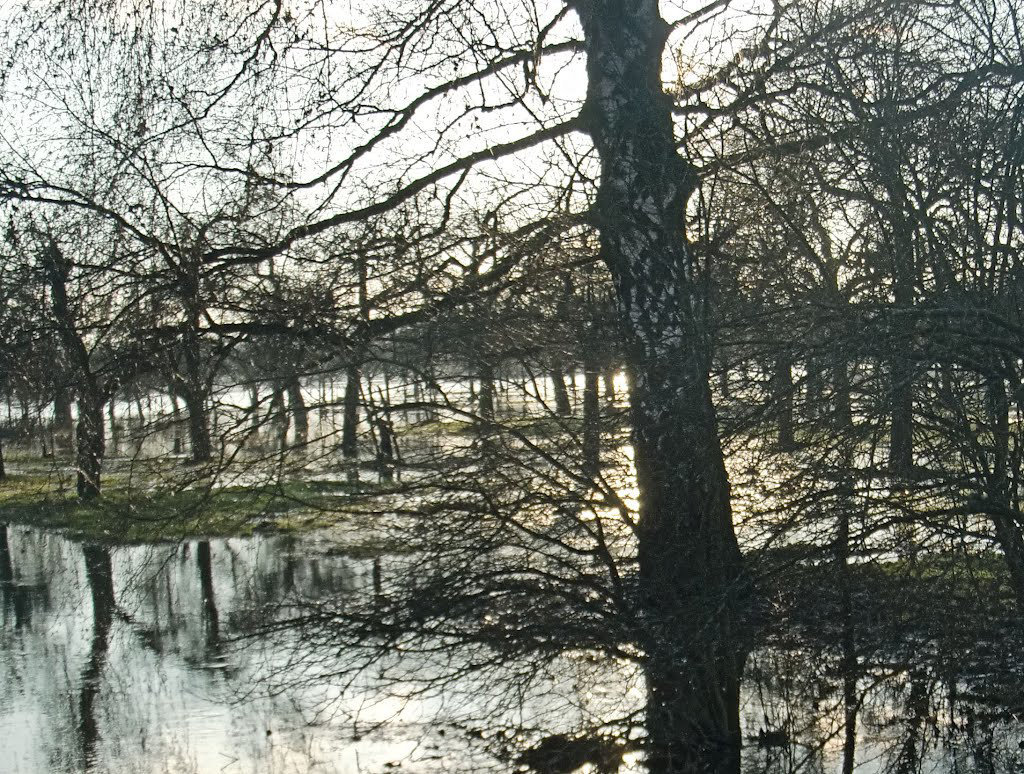 Lahn-Hochwasser