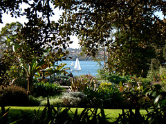 Government House Gardens, Sydney_1