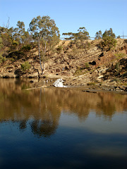 Dight's falls on the Yarra