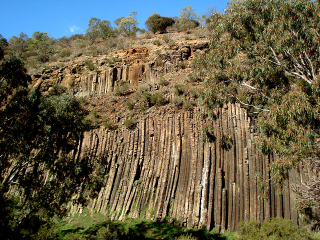 Organ Pipes