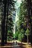 Thundering Yosemite Falls, May 1980  (000°)