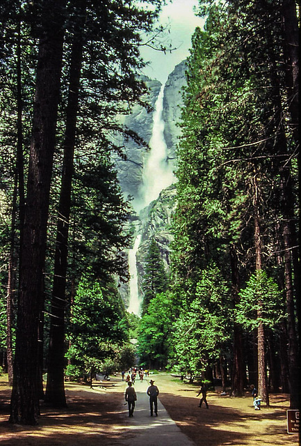 Thundering Yosemite Falls, May 1980  (000°)