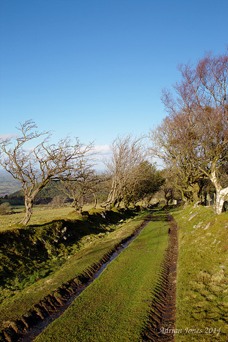 Blakemoregate Lane