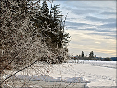 Jan 1, 2014 - No. 1 - One photo each day. -4 C