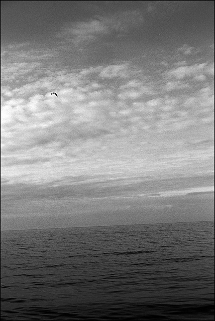 Fehmarn