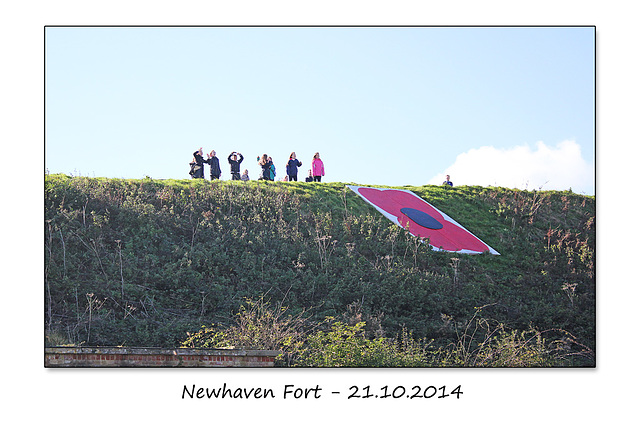 Newhaven Fort  - 21.10.2014