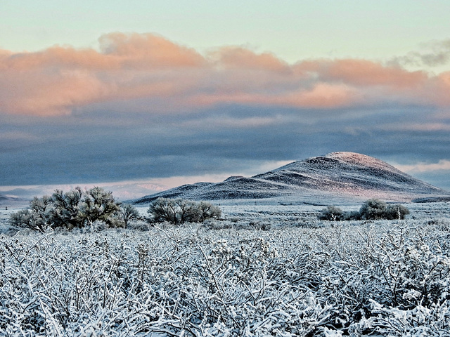 A February Snow