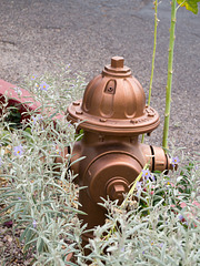 Bisbee, AZ Copper Man (2139)