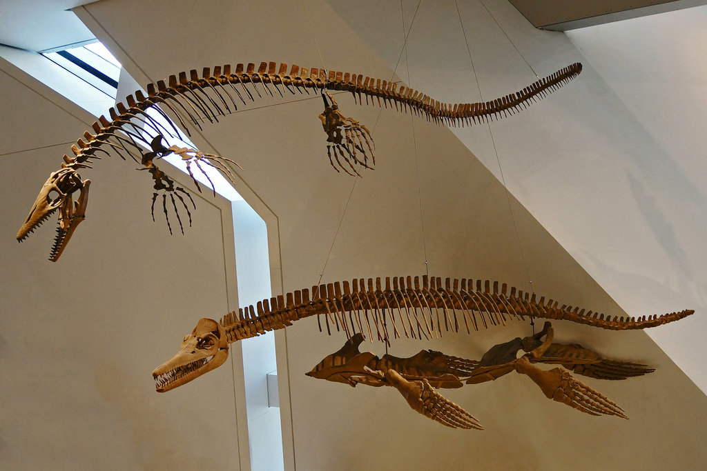 Gone Fishing – Royal Ontario Museum, Bloor Street, Toronto, Ontario