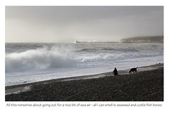 A nice bit of sea air - Seaford - 8.2.2014