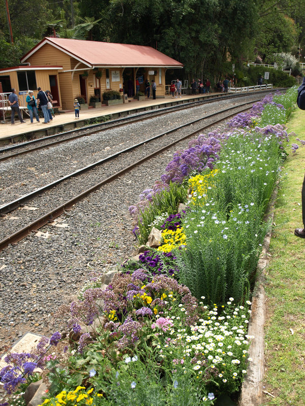 201409CarnivalTrain 041