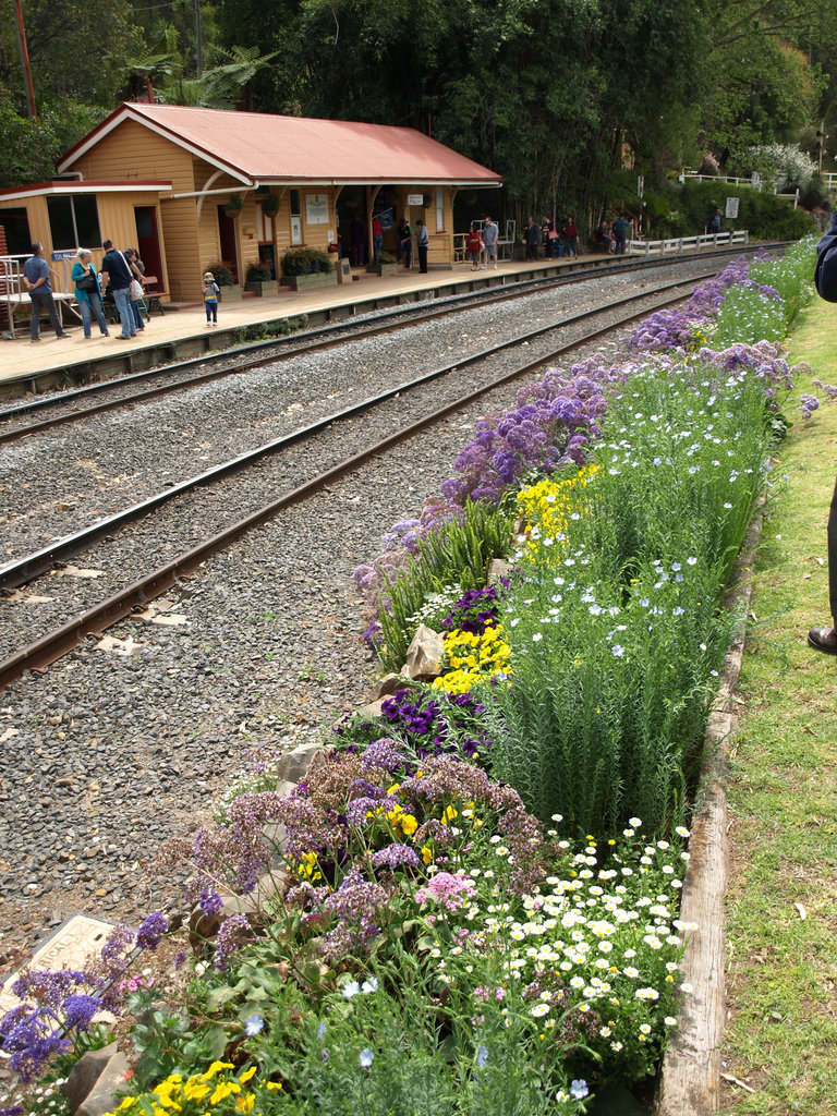 201409CarnivalTrain 041