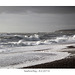 Not black and white!  - Seaford - 8.2.2014