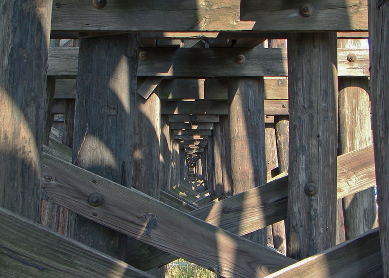 Under the Trestle