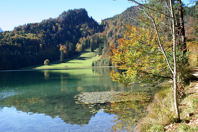 Herbst am Alatsee. ©UdoSm