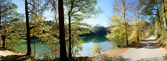 Rundweg am Alatsee im Herbst. ©UdoSm