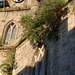 Saint Paul's Church, South Methven Street, Perth, Scotland